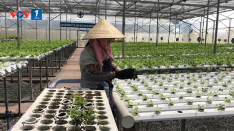 Nông dân là trung tâm chuyển đổi số trong nông nghiệp. (06/12/2021)