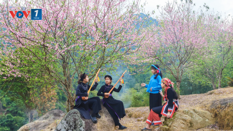 Con đường dệt nên mùa xuân biên thùy (13/2/2021)