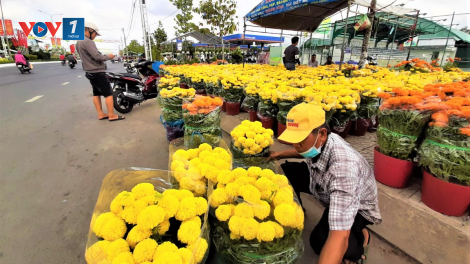 Chợ hoa Tết Cà Mau: Ít người mua bán nhưng vẫn nhộn nhịp (10/02/2021)