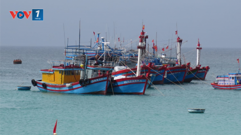 Lý Sơn dừng hàng loạt hoạt động đầu năm mới (18/02/2021)