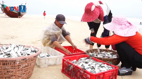 Ngư dân Quảng Bình ra khơi đón lộc biển (23/2/2021)