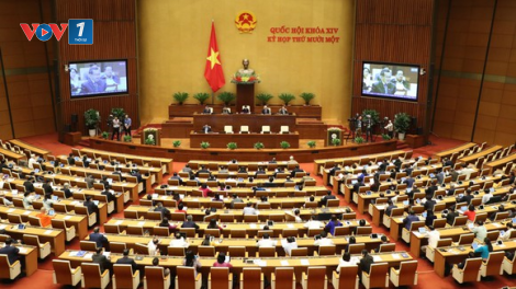 Quốc hội nhiệm kỳ khóa XIV: Nhiều cảm xúc trong tâm tư của đại biểu Quốc hội (30/03/2021)