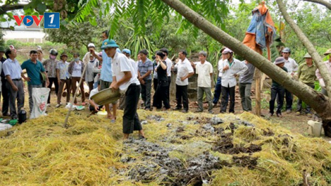 Vì sao nông dân không mặn và với sản xuất vi sinh ( 27/03/2021)