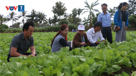 Sản xuất rau, trái cây an toàn: hướng phát triển kinh tế mới ở Gia Lai (06 + 07/03/2021)