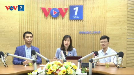 Start Up khai phá tiềm năng thương mại điện tử (21/03/2021)