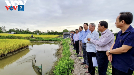 Hạn mặn và câu chuyện “thuận thiên” ở ĐBSCL (09/03/2021)