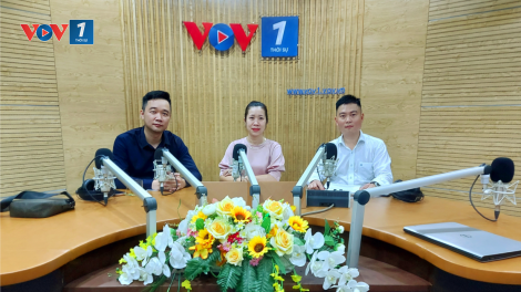 Cơ hội nào cho hộ kinh doanh và doanh nghiệp siêu nhỏ khi giao thương trực tuyến? (25/04/2021)