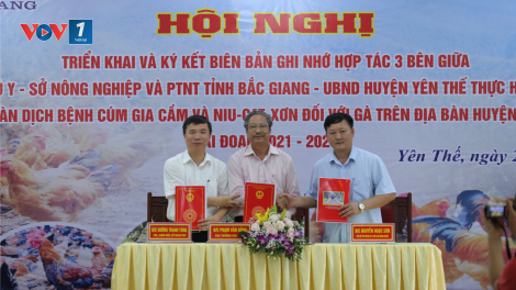 Bắc Giang: Vùng an toàn dịch bệnh đối với gia cầm đầu tiên ở miền Bắc (26/4/2021)