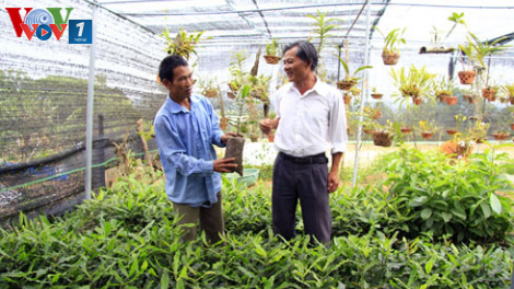 Chiến lược phát triển ngành Lâm nghiệp Việt Nam giai đoạn 2021 – 2030: Xây dựng chuỗi giá trị bắt đầu từ khâu giống.