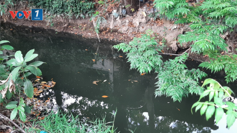 Tiền Giang: Nguồn nước “trữ ngọt” phục vụ hơn 1 triệu dân có nguy cơ ô nhiễm (10/04/2021)