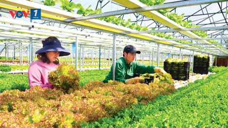 - Vì sao ngành nông nghiệp vẫn khó thu hút đầu tư (17+18/04)