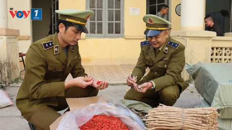 Lạng Sơn: Thu giữ gần 4 tạ thuốc bắc nhập lậu, gas giả, kém chất lượng (15/04/2021)