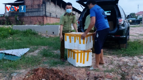 Quảng Ninh: phát hiện và xử lý thực phẩm không nhãn mác (27/05/2021)
