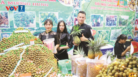 Giải pháp linh hoạt không để ùn ứ nông sản trước diễn biến phức tạp của covid-19 (18/05/2021)