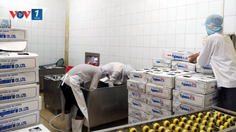 Vượt khó khăn, 4 tháng đầu năm nay xuất khẩu nông sản tăng trưởng mạnh (14/05/2021)