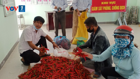 Nông sản rớt giá, Hội Nông dân Đà Nẵng làm cầu nối tiêu thụ (22+23/05/2021)