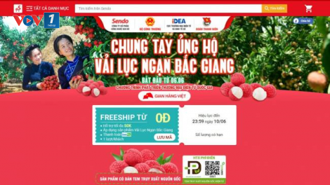 Các sàn thương mại điện tử thúc đẩy tiêu thụ nông sản ( 08/06/2021)