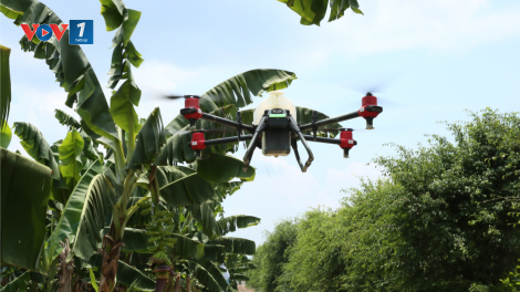 Drone phun thuốc trừ sâu có an toàn, tiết kiệm như quảng cáo? (15/6/2021)