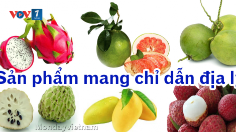 Đăng ký bảo hộ chỉ dẫn địa lý - tấm giấy thông hành cho nông sản Việt ra thế giới (19/06/2021)