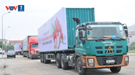 Liên kết các sàn thương mại điện tử - đa dạng kênh tiêu thụ hàng Việt (10/06/2021)