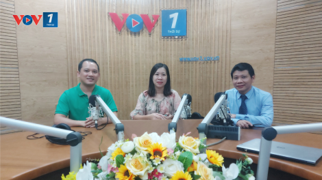 Startup tăng trưởng mạnh thời Covid - Gặp may hay thích ứng nhanh? (20/06/2021)