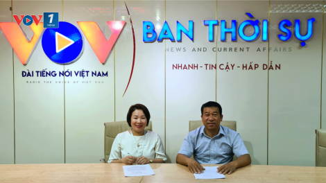 Kỹ thuât trồng rau trái vụ cho năng suất cao (04/06/2021)
