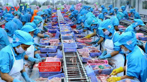 Xuất khẩu thủy sản 2021 tăng trưởng khả quan (14/06/2021)