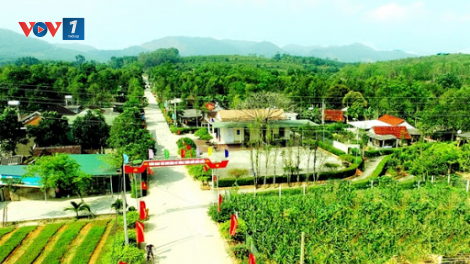 Xây dựng nông thôn mới - vượt khó trong dịch Covid-19 (13/06/2021)