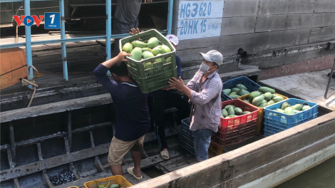 Hậu Giang: trái cây giảm giá do ảnh hưởng của dịch covid 19 ( 07/07/2021 )