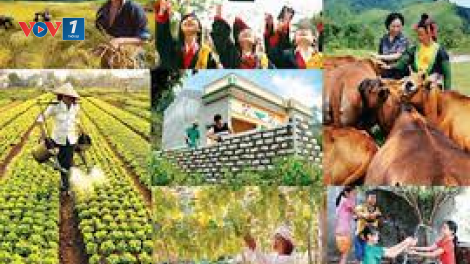 Chương trình mục tiêu quốc gia giảm nghèo và an sinh xã hội bền vững giai đoạn 2021 - 2025