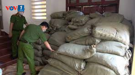 Cần giải pháp căn cơ ngăn chặn nhập lậu thuốc lá nguyên liệu. (09/7/2021)