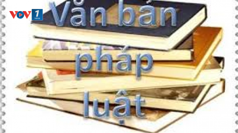 Hoàn thiện hệ thống pháp luật và tổ chức thi hành pháp luật (12/07/2021)