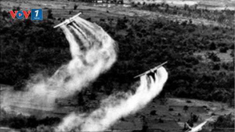 60 năm thảm họa da cam (10/08/1961 – 10/08/2021): Những tấm gương vượt lên nỗi đau, đóng góp cho xã hội (9/8/2021)