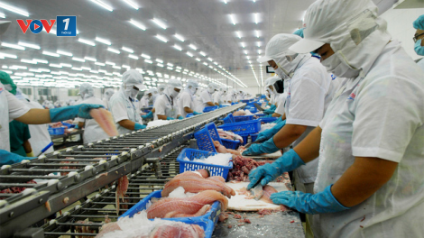 VASEP kỳ vọng chính sách hỗ trợ để cải thiện môi trường kinh doanh (26/8/2021)