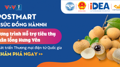 Thương mại điện tử cần được tạo điều kiện tốt hơn, phát triển xứng với tiềm năng (05/08/2021)