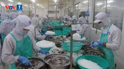 Doanh nghiệp chế biến xuất khẩu thủy sản ứng phó với dịch covid 19 (26/08/2021)