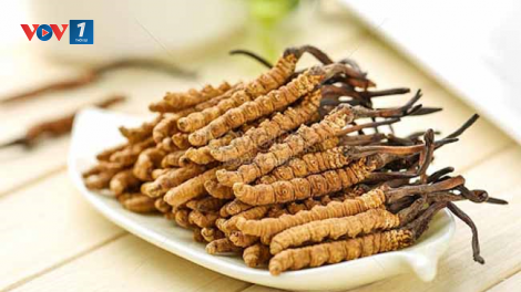 Hỗ trợ điều trị biến chứng tiểu đường nhờ Nano Đông trùng hạ thảo (10/8/2021)