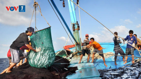 Xử phạt nặng với những hành vi vi phạm khai thác bất hợp pháp trên biển (3/8/2021)
