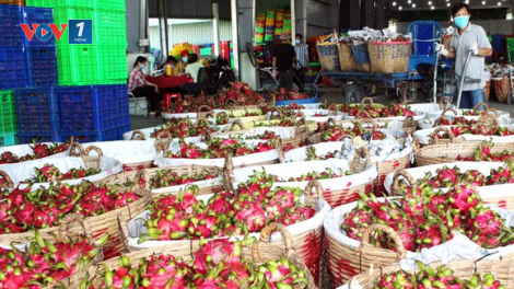Chung sức hỗ trợ, tránh đứt gãy chuỗi tiêu thụ nông sản (13/9/2021)