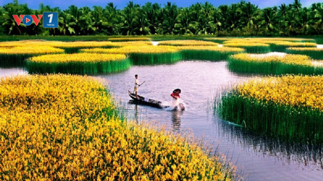 Mô hình trữ nước đảm bảo sản xuất ở Đồng bằng Sông Cửu Long (23/09/2021)
