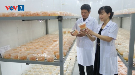 Trồng nấm an toàn, hiệu quả cao (07/09/2021)