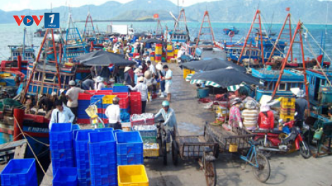 Khánh Hòa: Cảng cá Hòn Rớ trở lại hoạt động sau giãn cách xã hội. (21/09/2021)