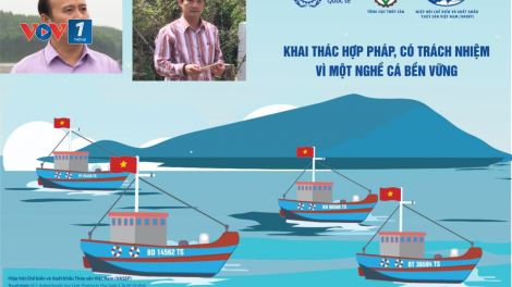 Tăng cường kiểm tra, giám sát và ngân chặn tàu cá khai thác hải sản bất hợp pháp IUU (19/09/2021)