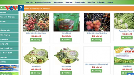 Các hợp tác xã đẩy mạnh bán nông sản qua sàn điện tử (21/09/2021)
