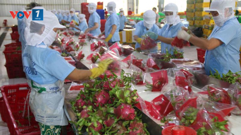 Tháo gỡ khó khăn, phục hồi sản xuất nông nghiệp, thuỷ sản các tỉnh phía Nam sau giãn cách (22/09/2021)