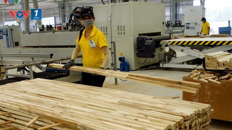 Đẩy mạnh liên kết phát triển bền vững ngành chế biến, xuất khẩu gỗ và lâm sản (10/09/2021)