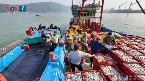 THỜI SỰ 6H SÁNG 26/1/2023: Ngư dân tại nhiều địa phương chuẩn bị cho chuyến “mở biển” đầu năm
