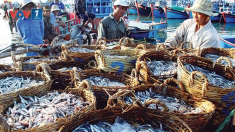 LỘC BIỂN (25/01/2023 - M4 Tết Âm lịch)