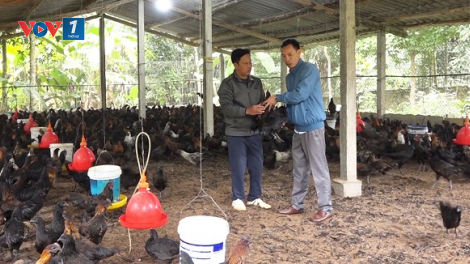 Giá lợn hơi và các mặt hàng thực phẩm ở Yên Bái ổn định dịp giáp Tết (16/01/2023)
