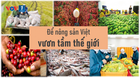 Nông sản Việt chinh phục những thị trường khó tính (06/01/2023)